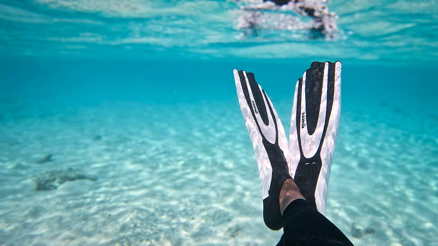Freediving and ocean adventures in the Maldives