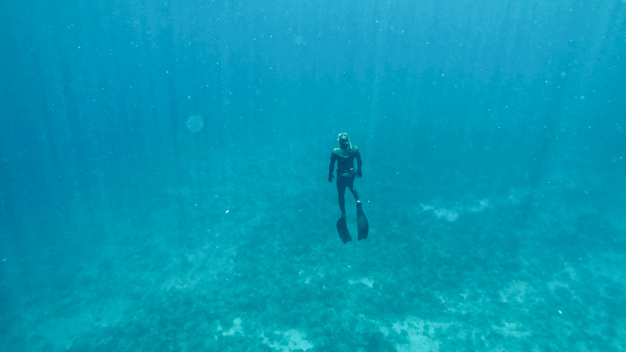 The reefs we dive