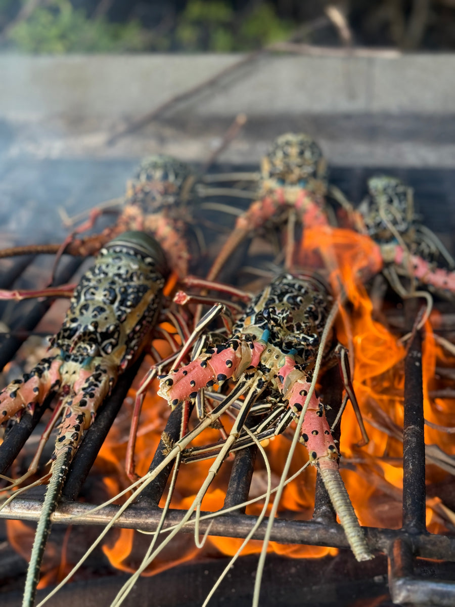 Catch-and-cook feast