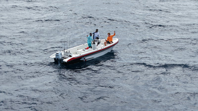 Tide Express 22